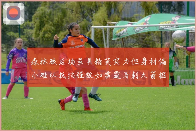 森林狼后场虽具精英实力但身材偏小难以抵挡强敌如雷霆马刺火箭掘金